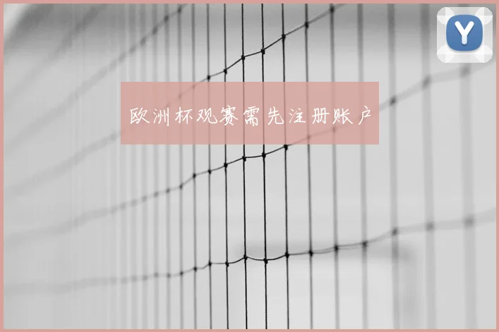 欧洲杯观赛需先注册账户