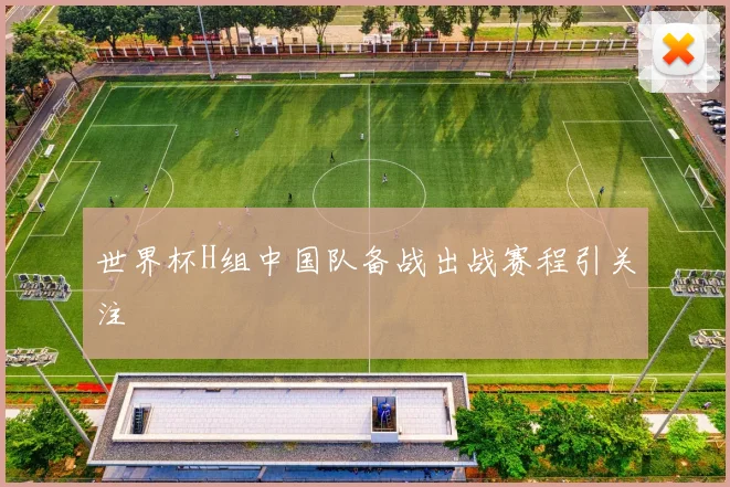 世界杯H组中国队备战出战赛程引关注