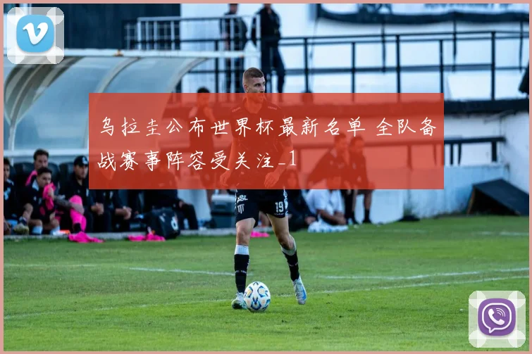乌拉圭公布世界杯最新名单 全队备战赛事阵容受关注_1