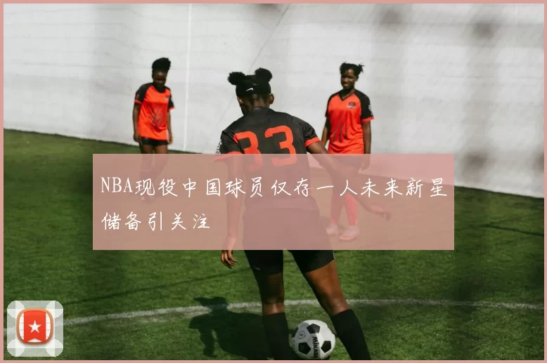 NBA现役中国球员仅存一人未来新星储备引关注